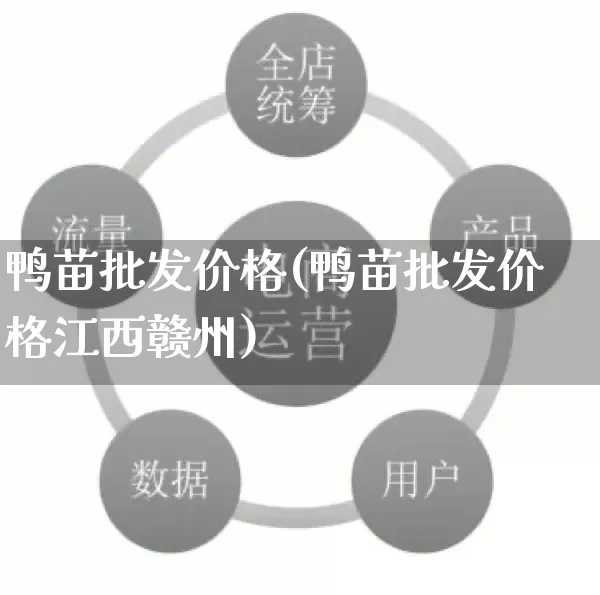 鸭苗批发价格(鸭苗批发价格江西赣州)_https://www.rzcpcj.com_天猫运营_第1张