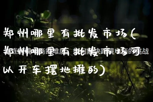 郑州哪里有批发市场(郑州哪里有批发市场可以开车摆地摊的)_https://www.rzcpcj.com_开网店_第1张