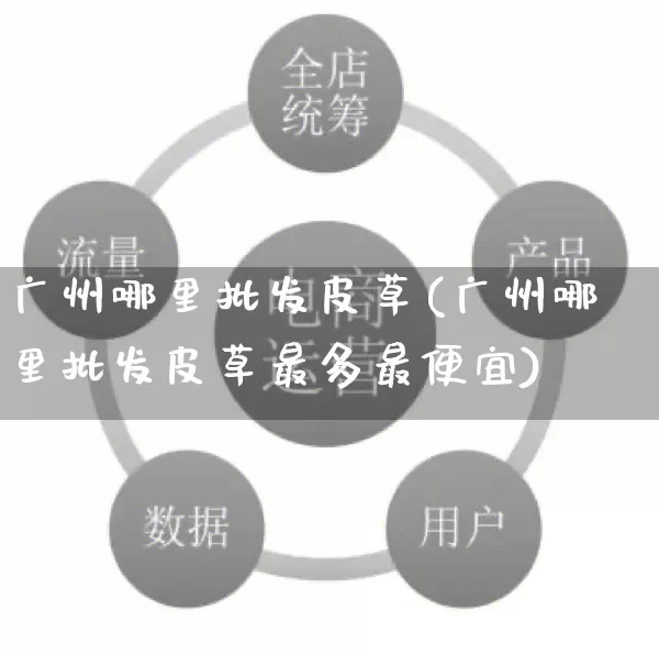 广州哪里批发皮草(广州哪里批发皮草最多最便宜)_https://www.rzcpcj.com_代运营_第1张