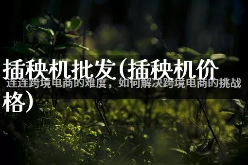 插秧机批发(插秧机价格)_https://www.rzcpcj.com_淘宝运营_第1张
