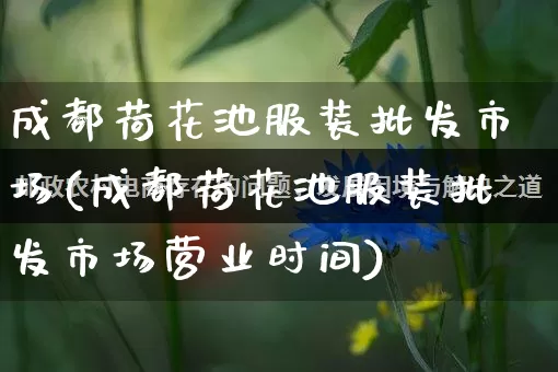 成都荷花池服装批发市场(成都荷花池服装批发市场营业时间)_https://www.rzcpcj.com_天猫运营_第1张