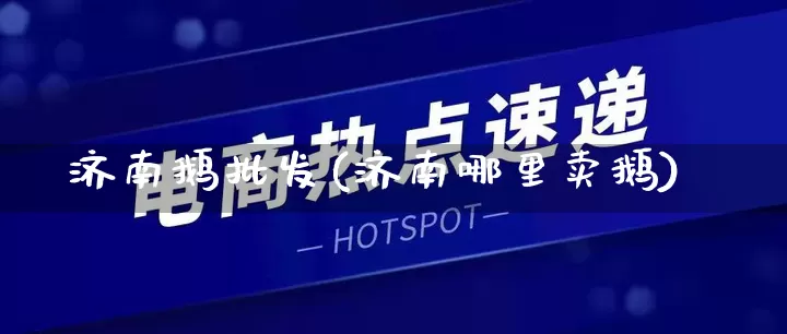 济南鹅批发(济南哪里卖鹅)_https://www.rzcpcj.com_抖音快手_第1张