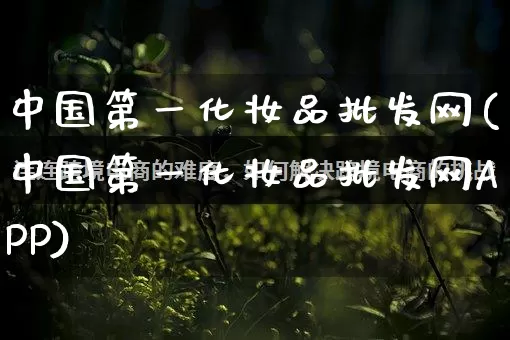 中国第一化妆品批发网(中国第一化妆品批发网APP)_https://www.rzcpcj.com_直通车_第1张