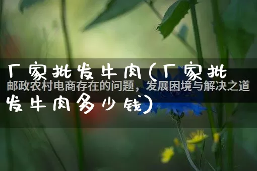 厂家批发牛肉(厂家批发牛肉多少钱)_https://www.rzcpcj.com_抖音快手_第1张
