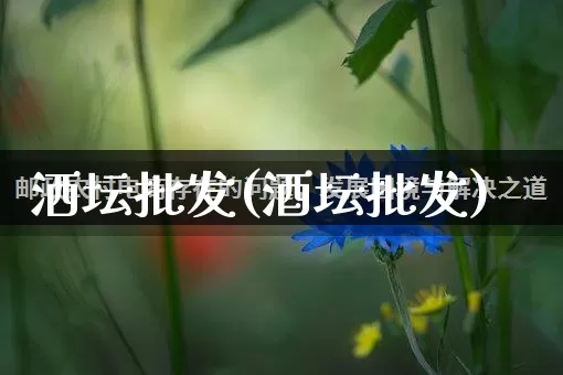 洒坛批发(酒坛批发)_https://www.rzcpcj.com_淘宝运营_第1张