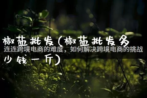 椒盐批发(椒盐批发多少钱一斤)_https://www.rzcpcj.com_代运营_第1张