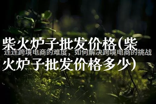 柴火炉子批发价格(柴火炉子批发价格多少)_https://www.rzcpcj.com_抖音快手_第1张