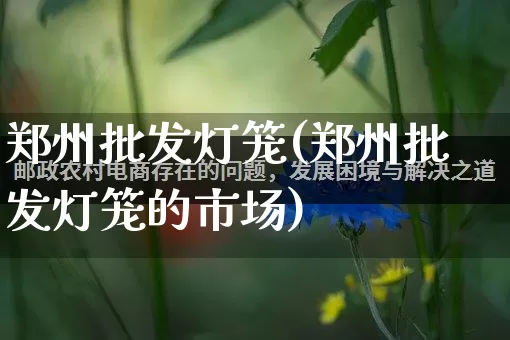 郑州批发灯笼(郑州批发灯笼的市场)_https://www.rzcpcj.com_直通车_第1张