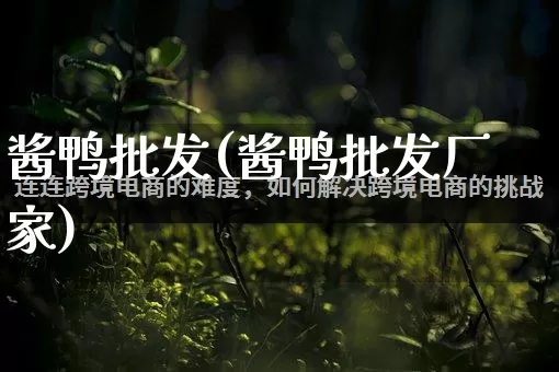 酱鸭批发(酱鸭批发厂家)_https://www.rzcpcj.com_淘宝运营_第1张
