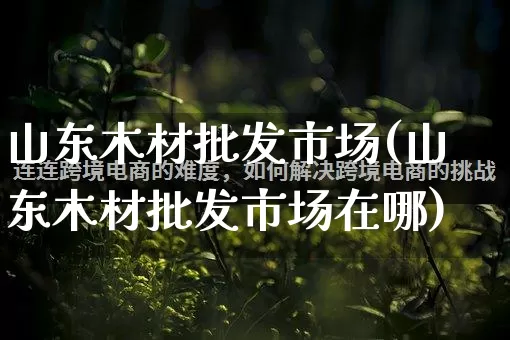 山东木材批发市场(山东木材批发市场在哪)_https://www.rzcpcj.com_代运营_第1张