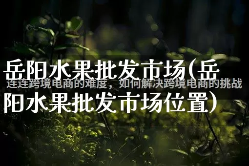 岳阳水果批发市场(岳阳水果批发市场位置)_https://www.rzcpcj.com_天猫运营_第1张