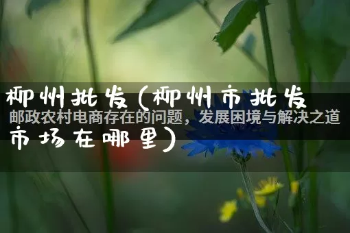 柳州批发(柳州市批发市场在哪里)_https://www.rzcpcj.com_抖音快手_第1张