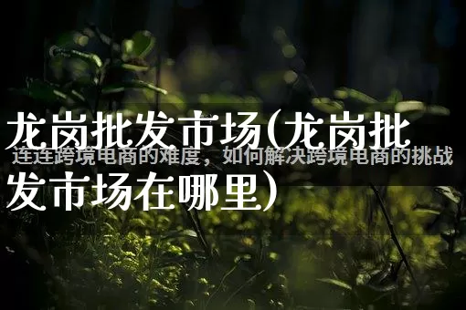 龙岗批发市场(龙岗批发市场在哪里)_https://www.rzcpcj.com_代运营_第1张