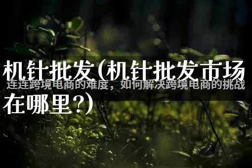 机针批发(机针批发市场在哪里?)_https://www.rzcpcj.com_淘宝运营_第1张