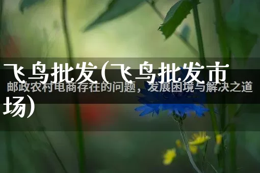 飞鸟批发(飞鸟批发市场)_https://www.rzcpcj.com_开网店_第1张