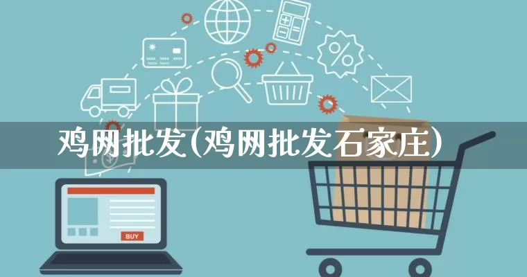 鸡网批发(鸡网批发石家庄)_https://www.rzcpcj.com_淘宝运营_第1张