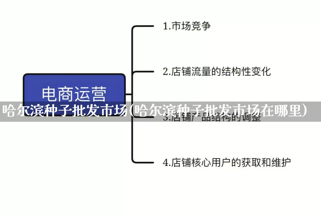 哈尔滨种子批发市场(哈尔滨种子批发市场在哪里)_https://www.rzcpcj.com_淘宝运营_第1张