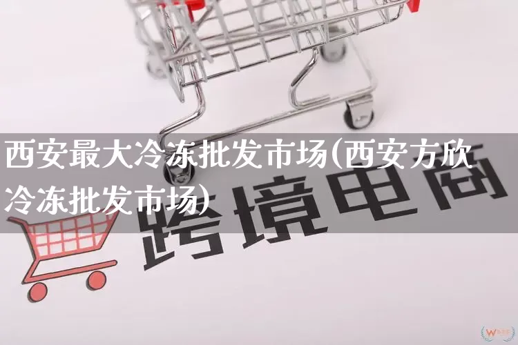 西安最大冷冻批发市场(西安方欣冷冻批发市场)_https://www.rzcpcj.com_开网店_第1张