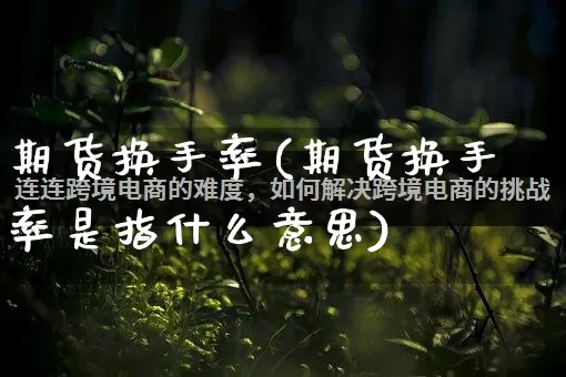 期货换手率(期货换手率是指什么意思)_https://www.rzcpcj.com_淘宝运营_第1张