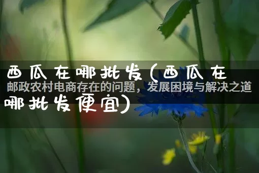 西瓜在哪批发(西瓜在哪批发便宜)_https://www.rzcpcj.com_天猫运营_第1张