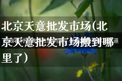 北京天意批发市场(北京天意批发市场搬到哪里了)_https://www.rzcpcj.com_抖音快手_第1张