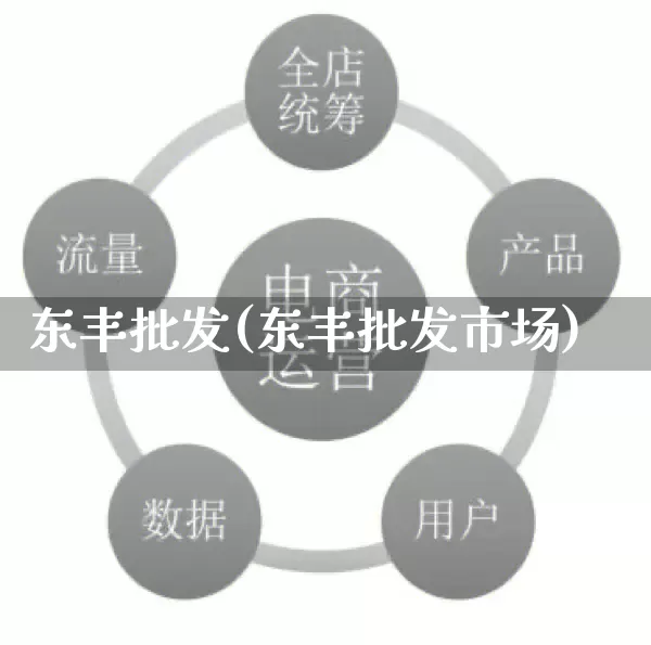 东丰批发(东丰批发市场)_https://www.rzcpcj.com_代运营_第1张