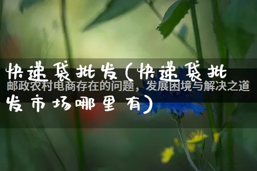 快递袋批发(快递袋批发市场哪里有)_https://www.rzcpcj.com_淘宝运营_第1张