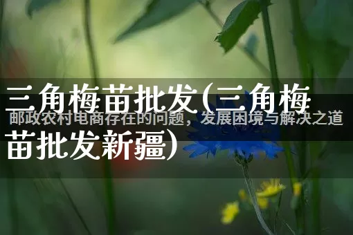 三角梅苗批发(三角梅苗批发新疆)_https://www.rzcpcj.com_抖音快手_第1张