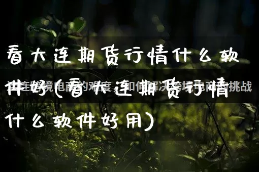 看大连期货行情什么软件好(看大连期货行情什么软件好用)_https://www.rzcpcj.com_开网店_第1张