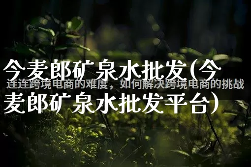 今麦郎矿泉水批发(今麦郎矿泉水批发平台)_https://www.rzcpcj.com_抖音快手_第1张