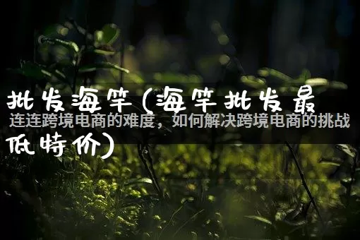 批发海竿(海竿批发最低特价)_https://www.rzcpcj.com_代运营_第1张