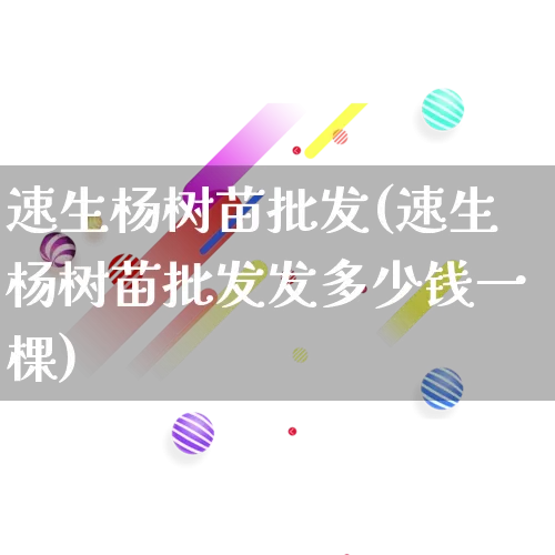 速生杨树苗批发(速生杨树苗批发发多少钱一棵)_https://www.rzcpcj.com_淘宝运营_第1张