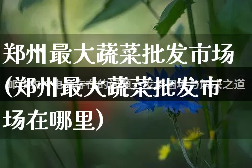 郑州最大蔬菜批发市场(郑州最大蔬菜批发市场在哪里)_https://www.rzcpcj.com_淘宝运营_第1张