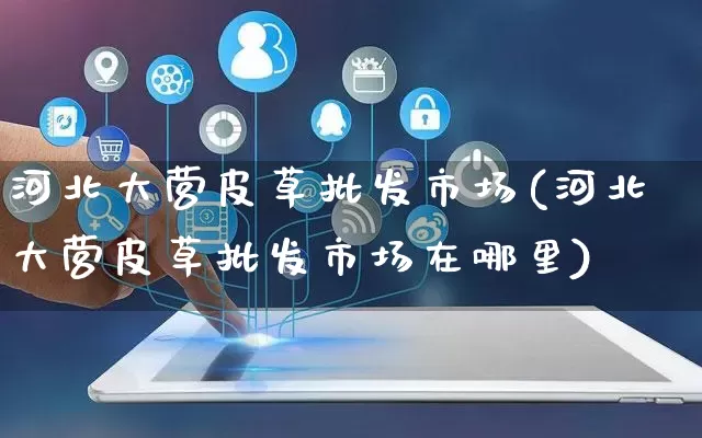 河北大营皮草批发市场(河北大营皮草批发市场在哪里)_https://www.rzcpcj.com_淘宝运营_第1张