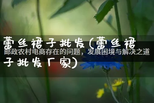 蕾丝裙子批发(蕾丝裙子批发厂家)_https://www.rzcpcj.com_直通车_第1张