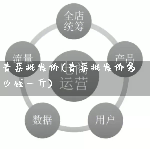 青菜批发价(青菜批发价多少钱一斤)_https://www.rzcpcj.com_天猫运营_第1张