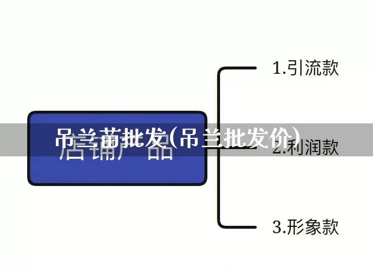 吊兰苗批发(吊兰批发价)_https://www.rzcpcj.com_淘宝运营_第1张