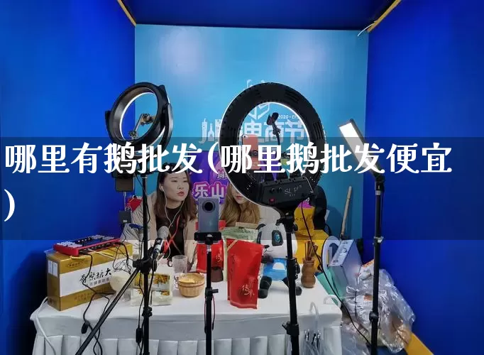 哪里有鹅批发(哪里鹅批发便宜)_https://www.rzcpcj.com_抖音快手_第1张