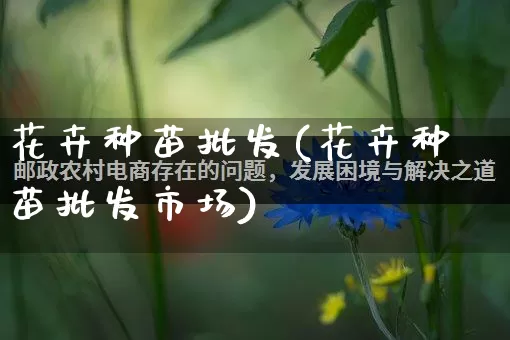 花卉种苗批发(花卉种苗批发市场)_https://www.rzcpcj.com_抖音快手_第1张