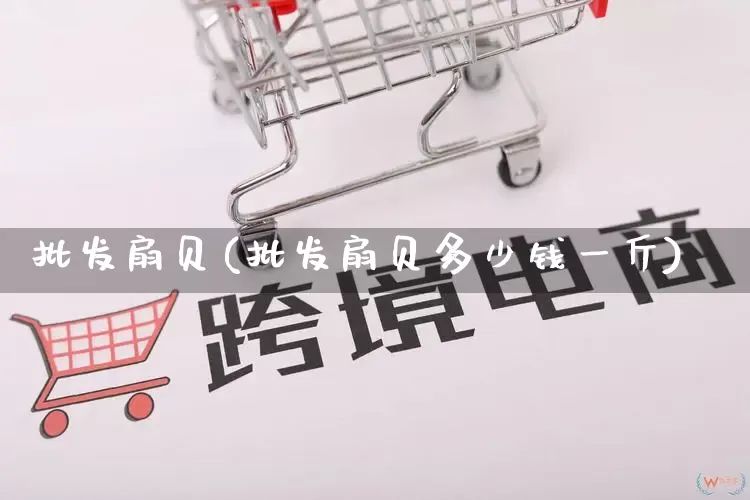 批发扇贝(批发扇贝多少钱一斤)_https://www.rzcpcj.com_淘宝运营_第1张