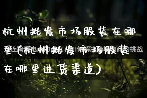 杭州批发市场服装在哪里(杭州批发市场服装在哪里进货渠道)_https://www.rzcpcj.com_开网店_第1张