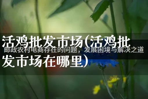 活鸡批发市场(活鸡批发市场在哪里)_https://www.rzcpcj.com_代运营_第1张