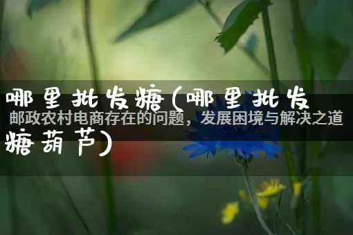 哪里批发糖(哪里批发糖葫芦)_https://www.rzcpcj.com_代运营_第1张