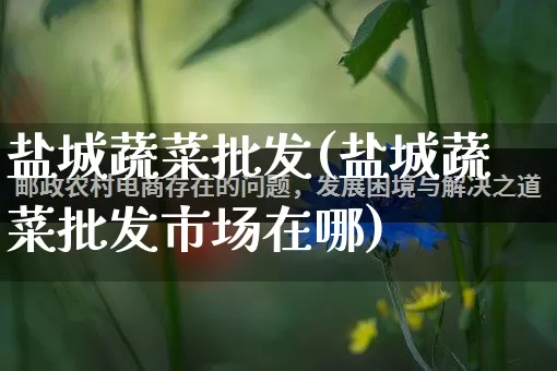 盐城蔬菜批发(盐城蔬菜批发市场在哪)_https://www.rzcpcj.com_淘宝运营_第1张