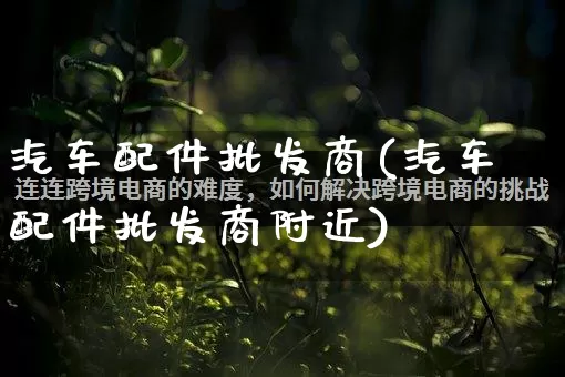 汽车配件批发商(汽车配件批发商附近)_https://www.rzcpcj.com_代运营_第1张
