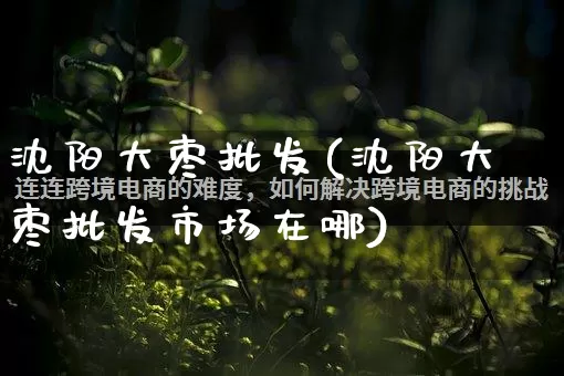 沈阳大枣批发(沈阳大枣批发市场在哪)_https://www.rzcpcj.com_直通车_第1张