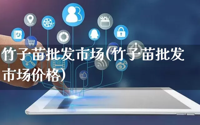 竹子苗批发市场(竹子苗批发市场价格)_https://www.rzcpcj.com_淘宝运营_第1张