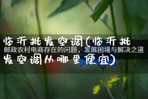 临沂批发空调(临沂批发空调从哪里便宜)_https://www.rzcpcj.com_抖音快手_第1张