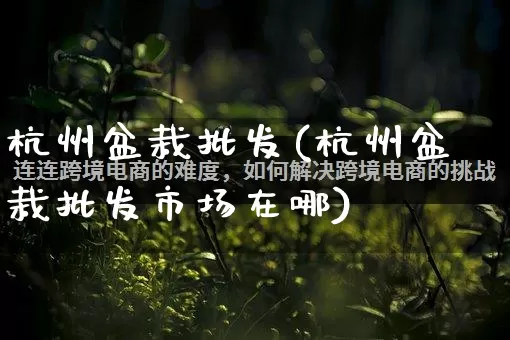 杭州盆栽批发(杭州盆栽批发市场在哪)_https://www.rzcpcj.com_抖音快手_第1张