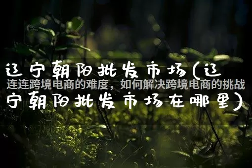 辽宁朝阳批发市场(辽宁朝阳批发市场在哪里)_https://www.rzcpcj.com_直通车_第1张